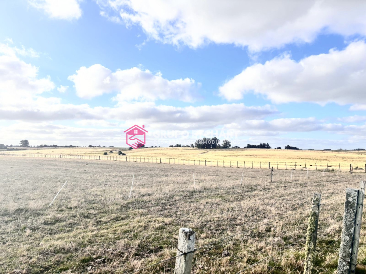 Campo Ref.64 - Campo en José Ignacio: OPORTUNIDAD única
