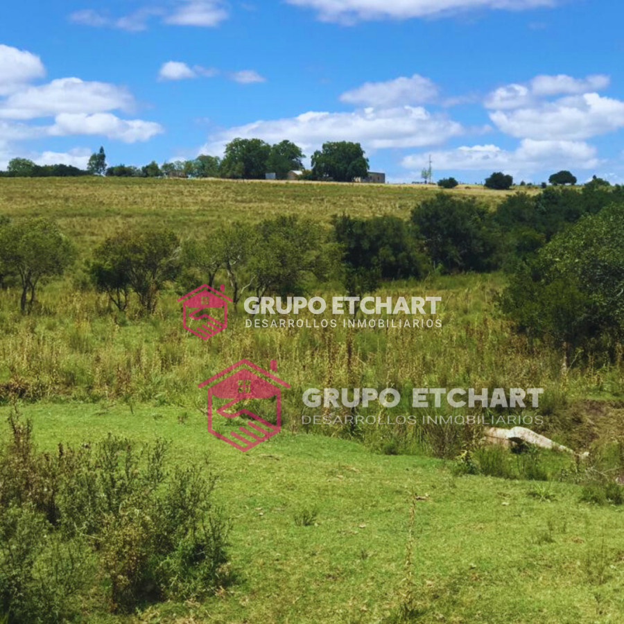 Campo Ref.33 - EN VENTA - CHACRA CON 8 HECTÁREAS - SOBRE RUTA 60