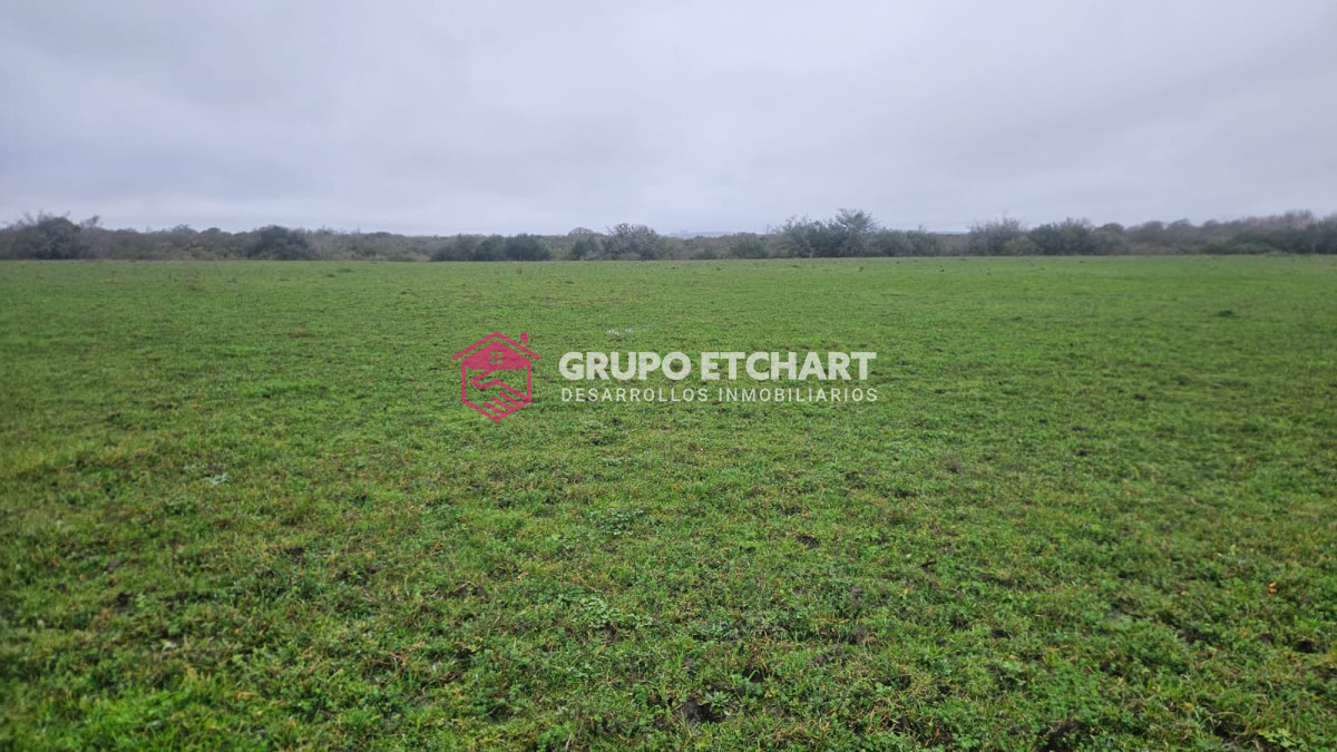 Campo Ref.110 - Oportunidad 