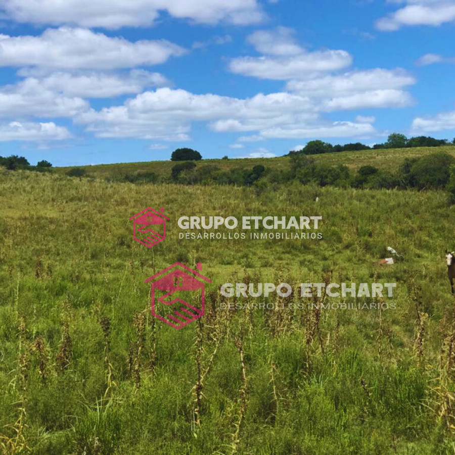Campo Ref.33 - EN VENTA - CHACRA CON 8 HECTÁREAS - SOBRE RUTA 60