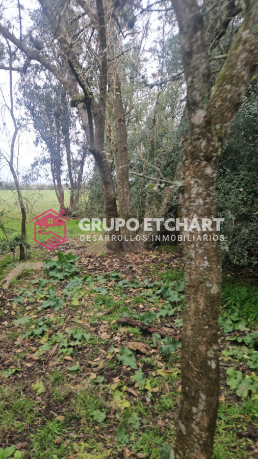 Campo Ref.110 - Oportunidad 