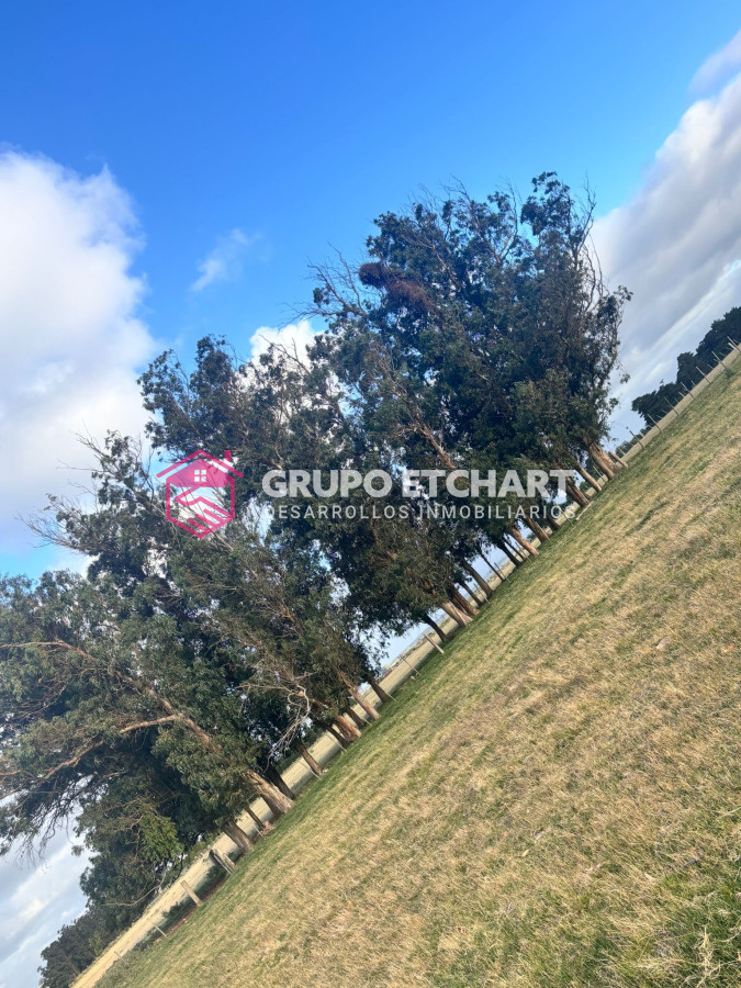 Campo Ref.64 - Campo en José Ignacio: OPORTUNIDAD única