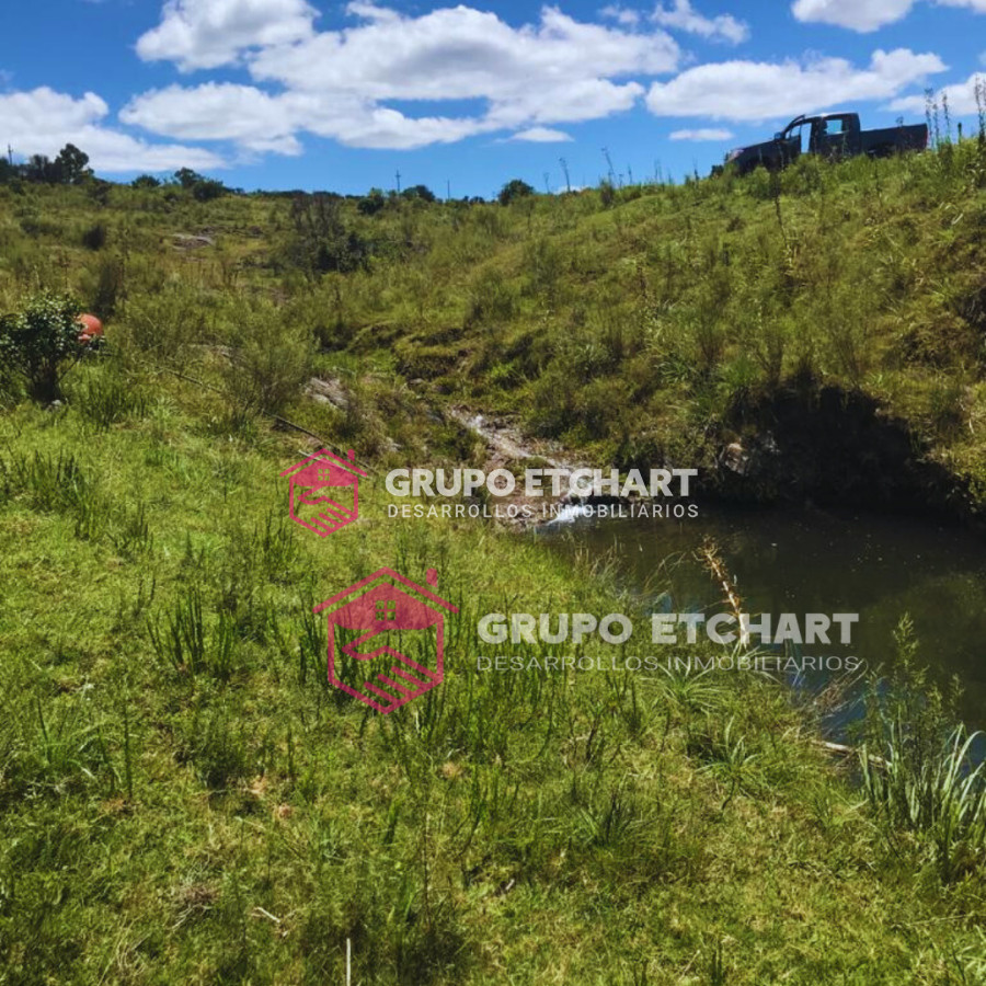 Campo Ref.33 - EN VENTA - CHACRA CON 8 HECTÁREAS - SOBRE RUTA 60