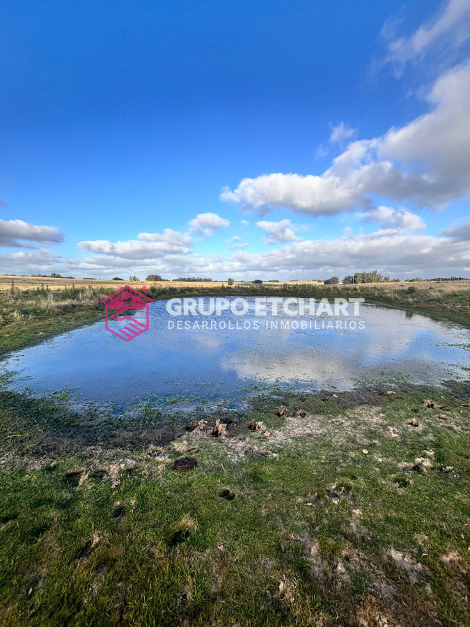 Campo Ref.64 - Campo en José Ignacio: OPORTUNIDAD única