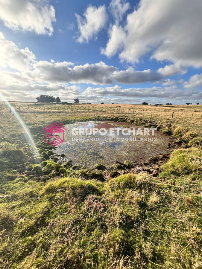 Campo Ref.64 - Campo en José Ignacio: OPORTUNIDAD única