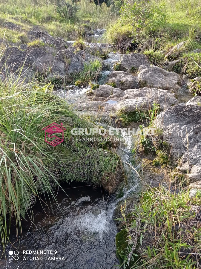 Campo Ref.33 - EN VENTA - CHACRA CON 8 HECTÁREAS - SOBRE RUTA 60