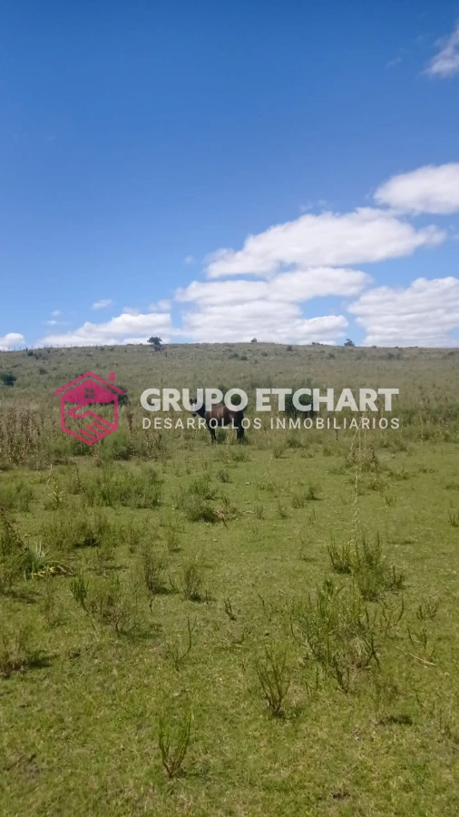 Campo Ref.33 - EN VENTA - CHACRA CON 8 HECTÁREAS - SOBRE RUTA 60