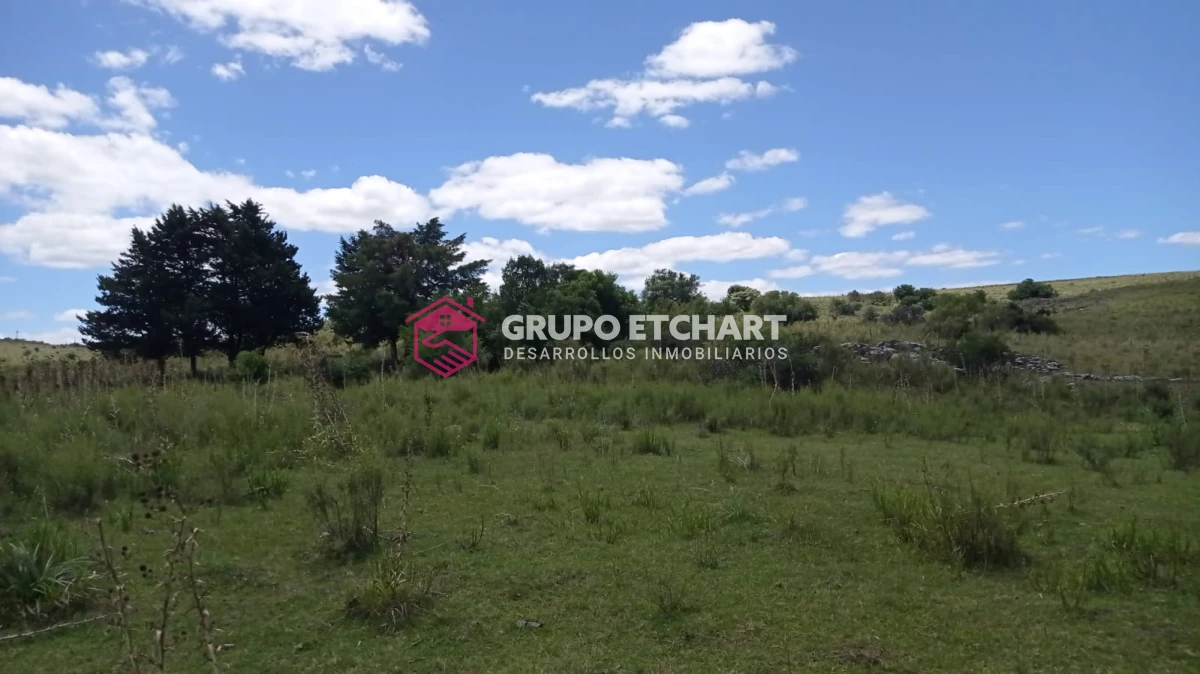 Campo Ref.33 - EN VENTA - CHACRA CON 8 HECTÁREAS - SOBRE RUTA 60