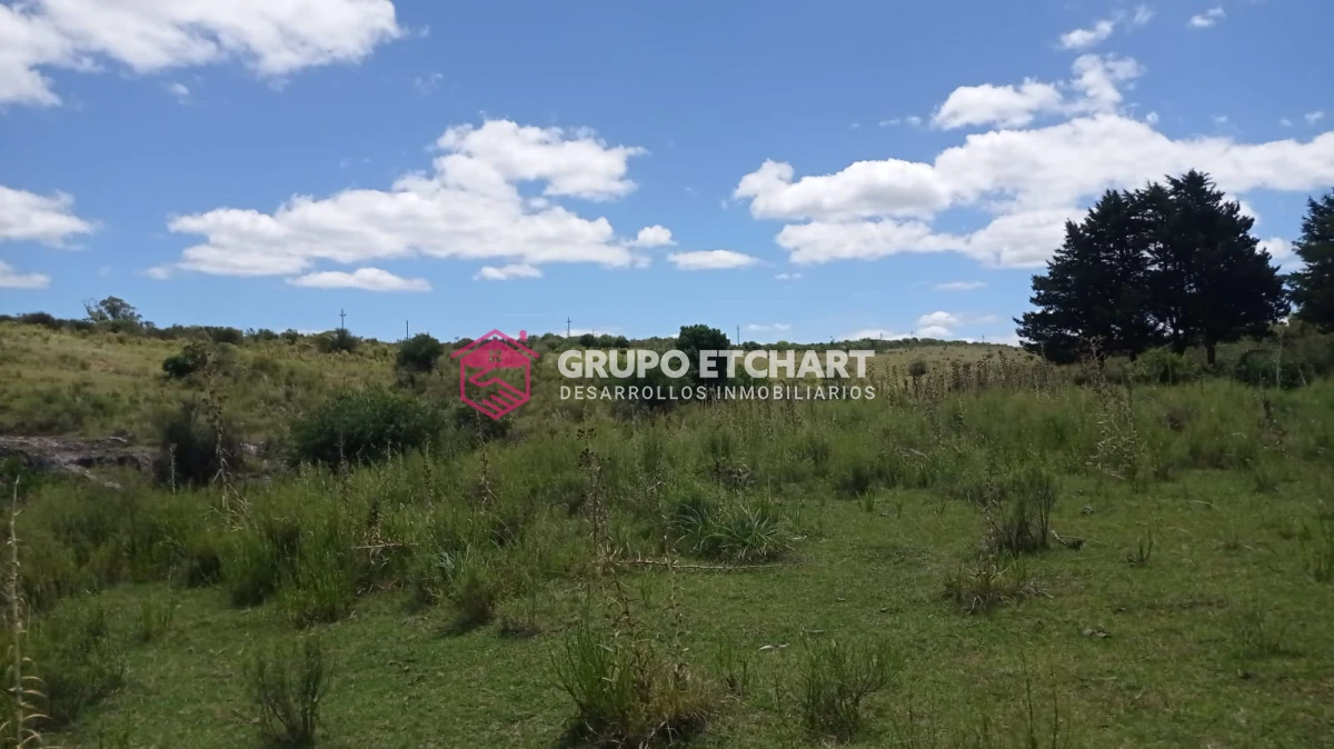 Campo Ref.33 - EN VENTA - CHACRA CON 8 HECTÁREAS - SOBRE RUTA 60