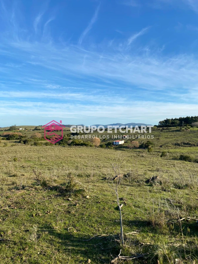 Campo Ref.33 - EN VENTA - CHACRA CON 8 HECTÁREAS - SOBRE RUTA 60