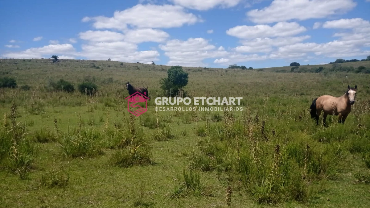 Campo Ref.33 - EN VENTA - CHACRA CON 8 HECTÁREAS - SOBRE RUTA 60