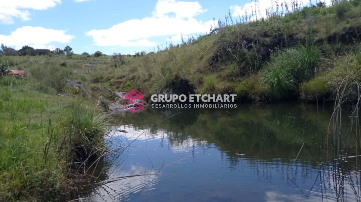 Campo Ref.33 - EN VENTA - CHACRA CON 8 HECTÁREAS - SOBRE RUTA 60
