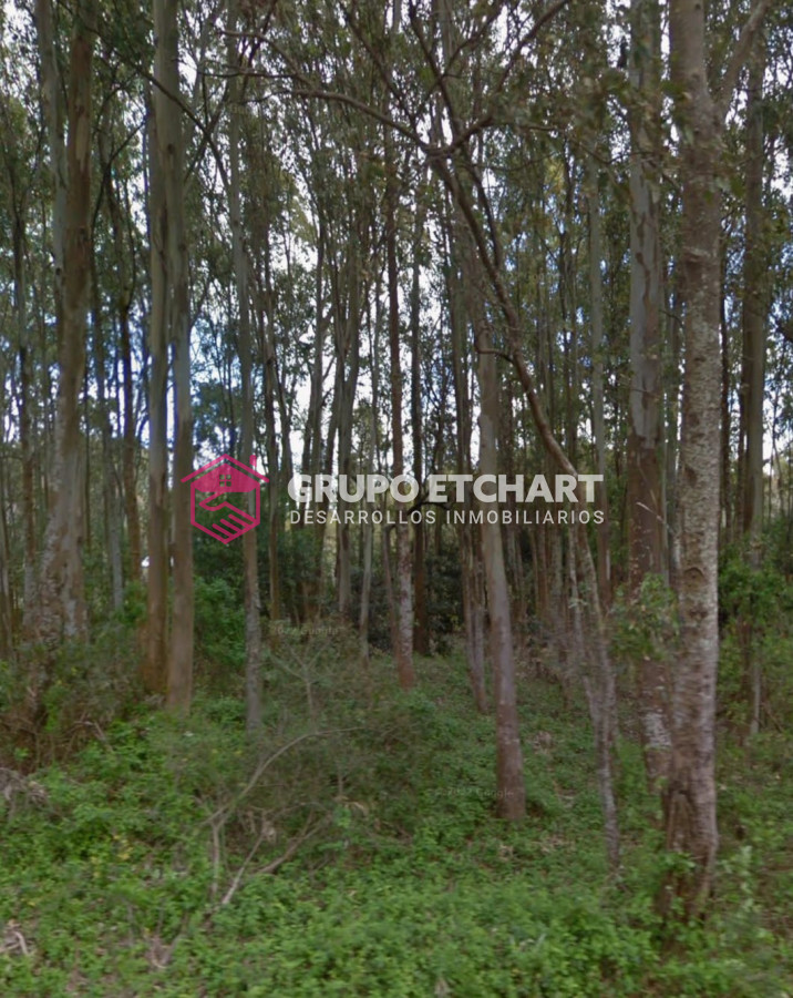 Terreno ID.99 - Terreno en venta Bella Vista Piriápolis - 1339 mt2 