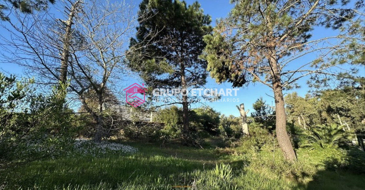Terreno ID.94 - Terreno 700 m2 en Sauce de Portezuelo