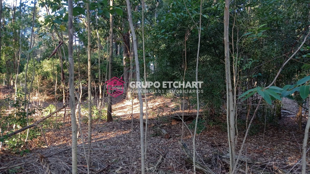 Terreno ID.146 - Solanas village 