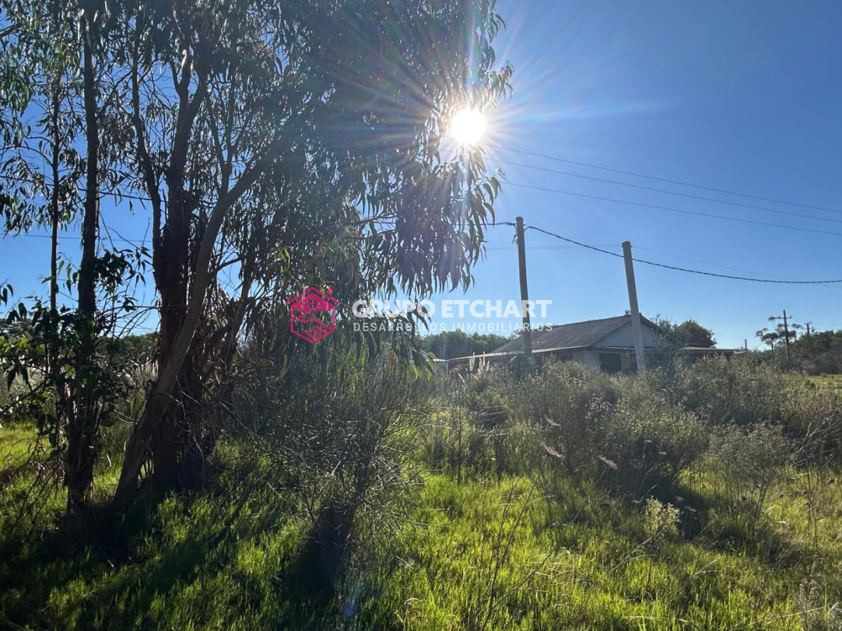 Terreno ID.251 - terreno en punta negra