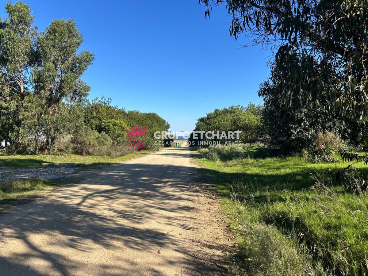 Terreno ID.251 - terreno en punta negra