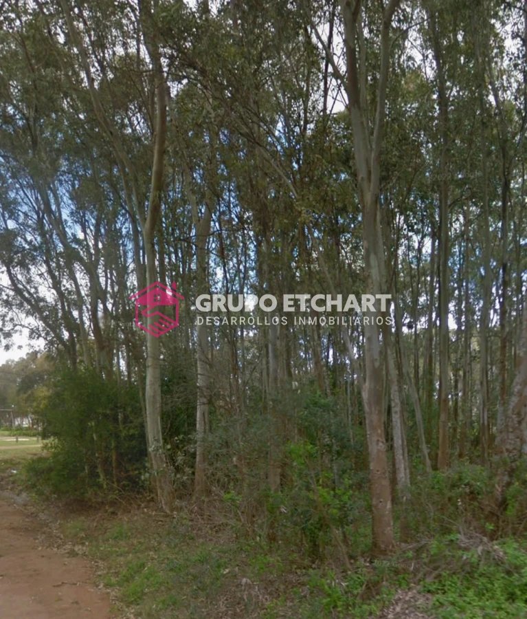 Terreno ID.99 - Terreno en venta Bella Vista Piriápolis - 1339 mt2 