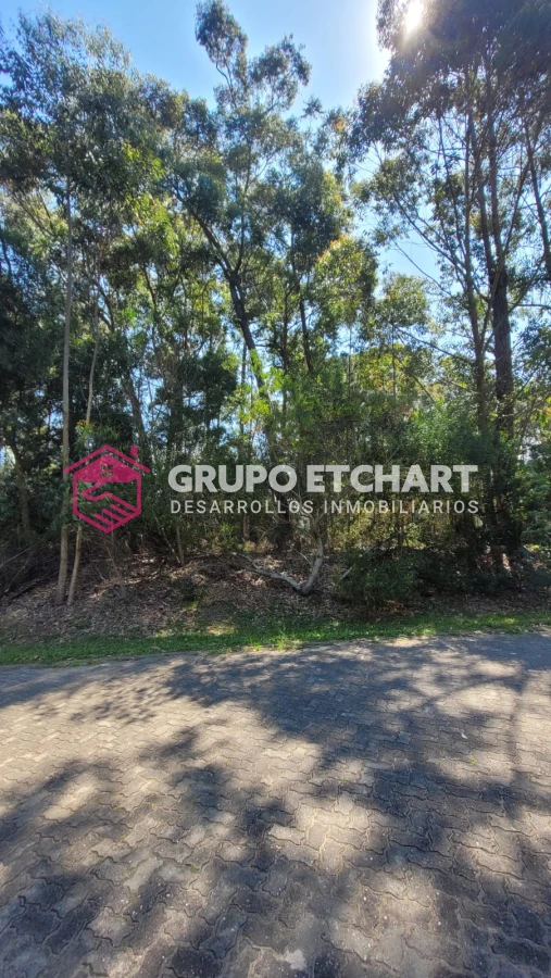 Terreno ID.146 - Solanas village 