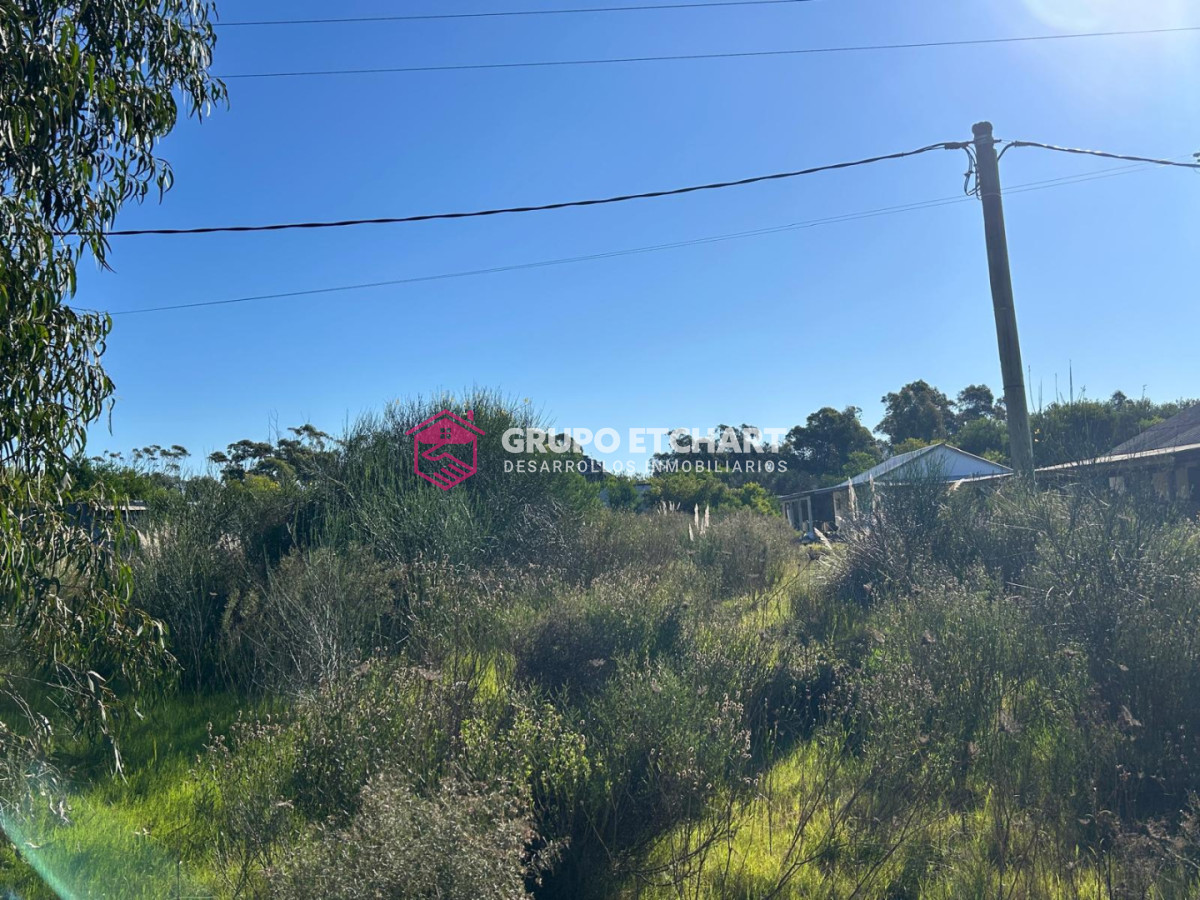 Terreno ID.251 - terreno en punta negra