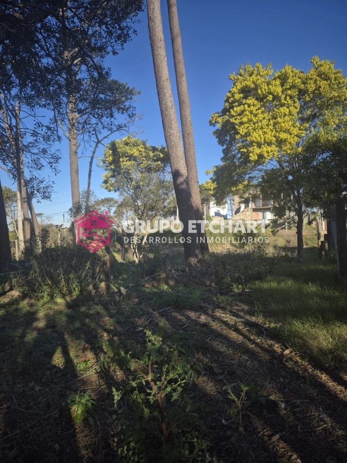 Terreno ID.145 - Tío Tom 