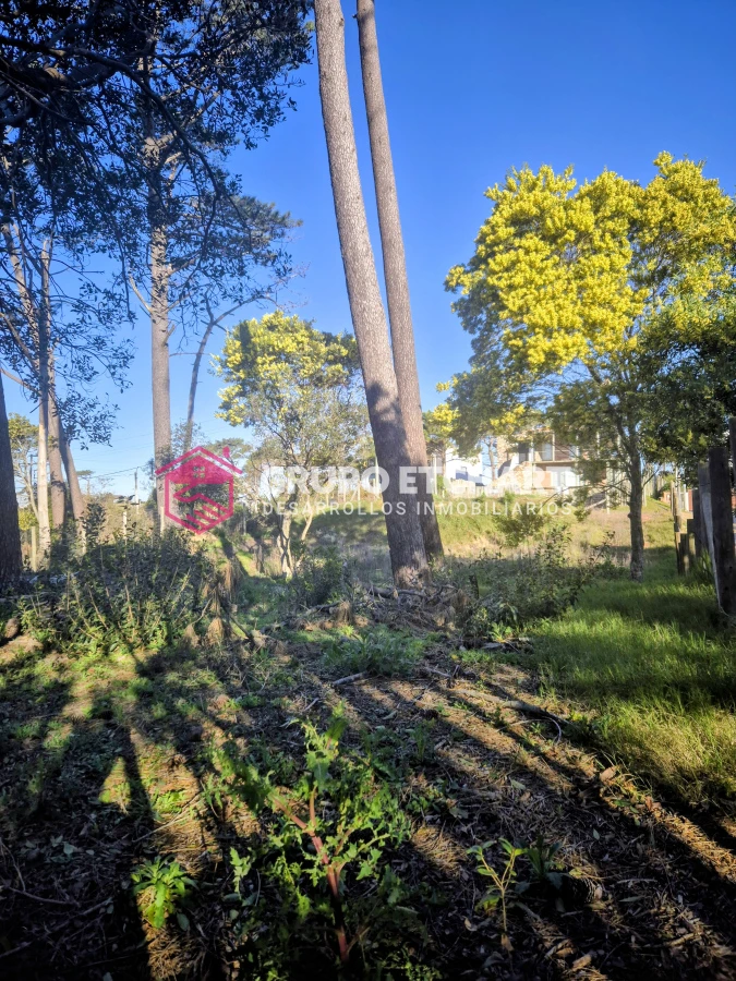 Terreno ID.145 - Tío Tom 
