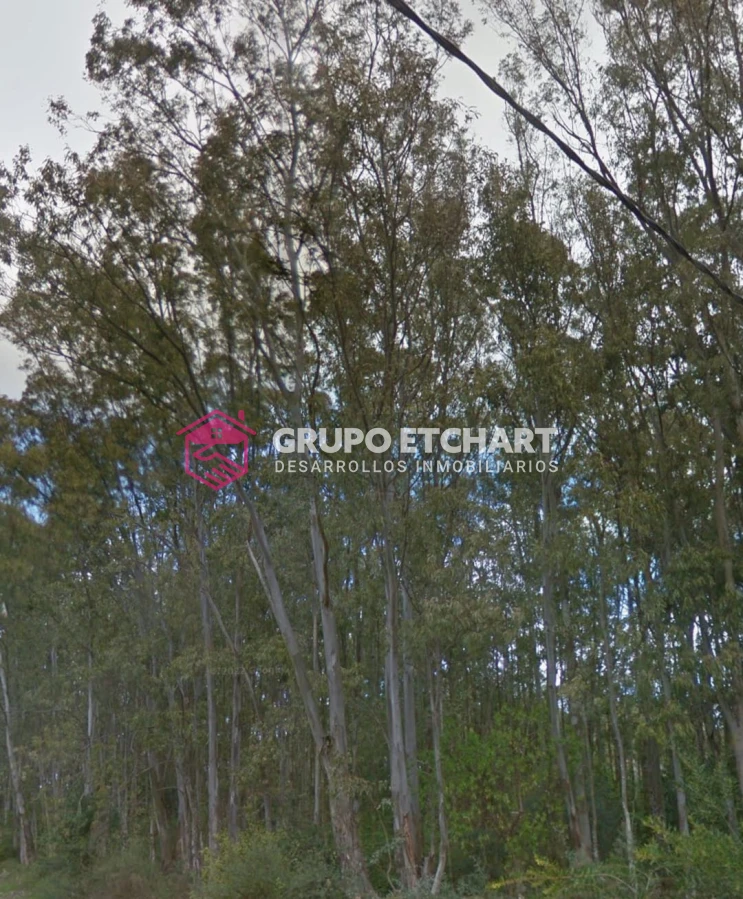 Terreno ID.99 - Terreno en venta Bella Vista Piriápolis - 1339 mt2 