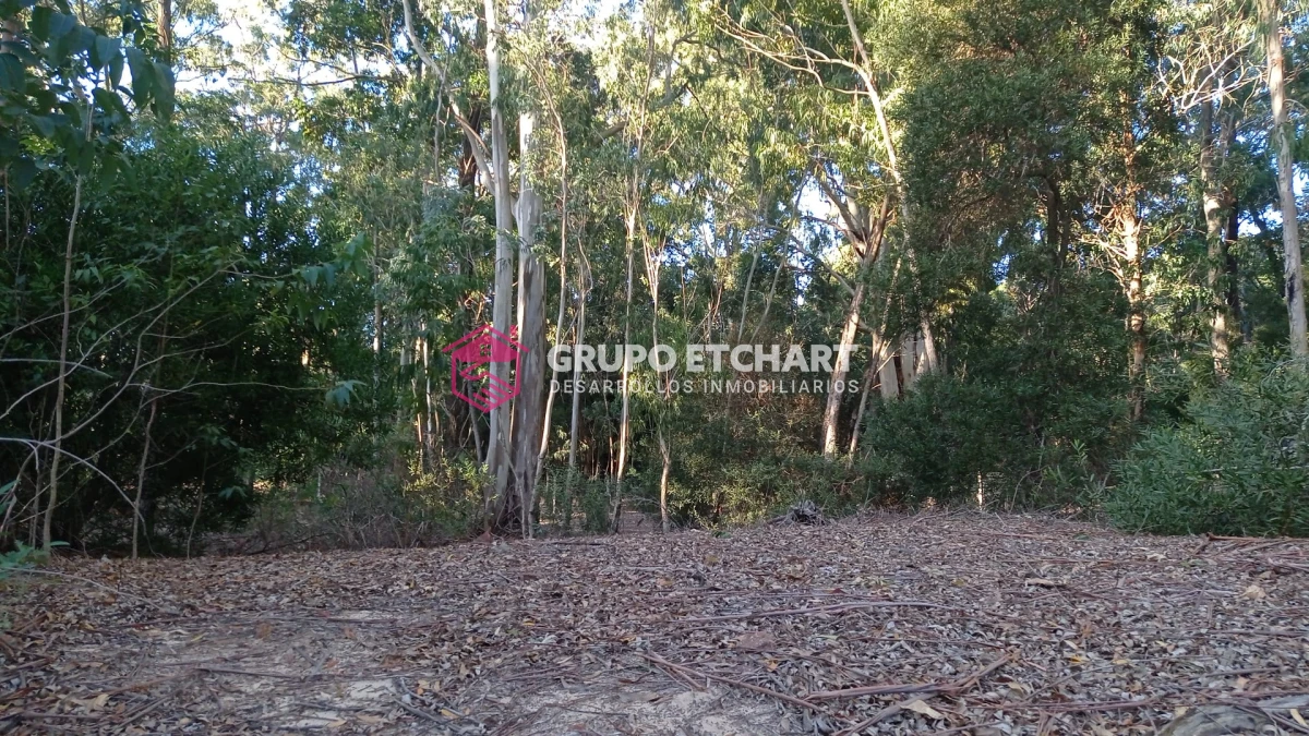 Terreno ID.146 - Solanas village 