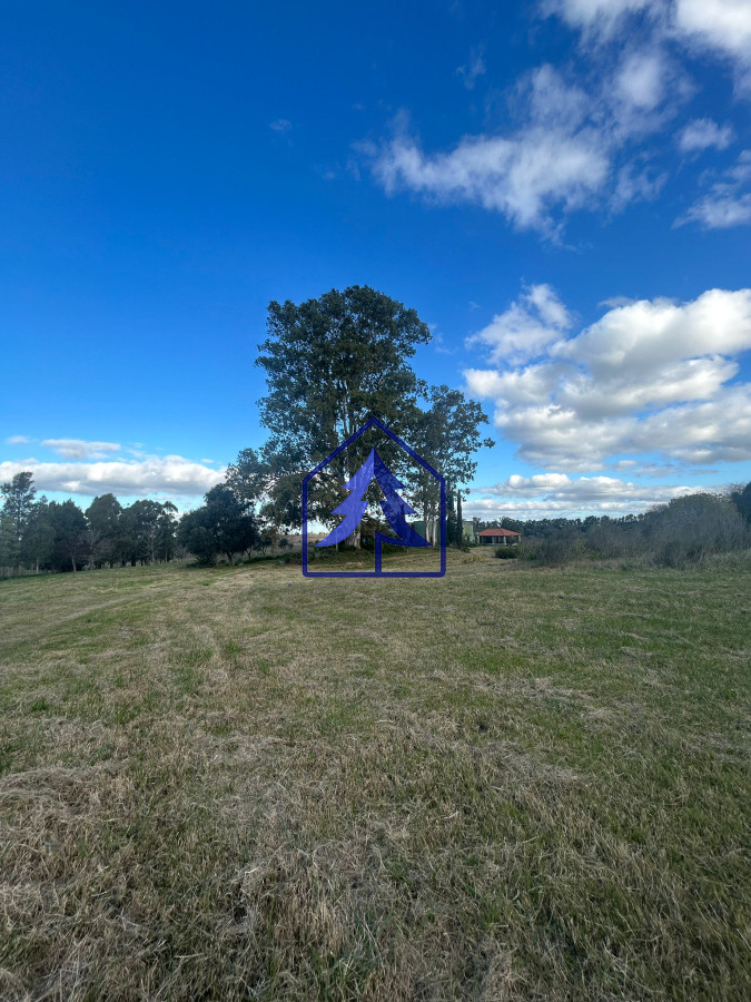 Chacra ID.31 - Venta de chacras en San Jacinto 