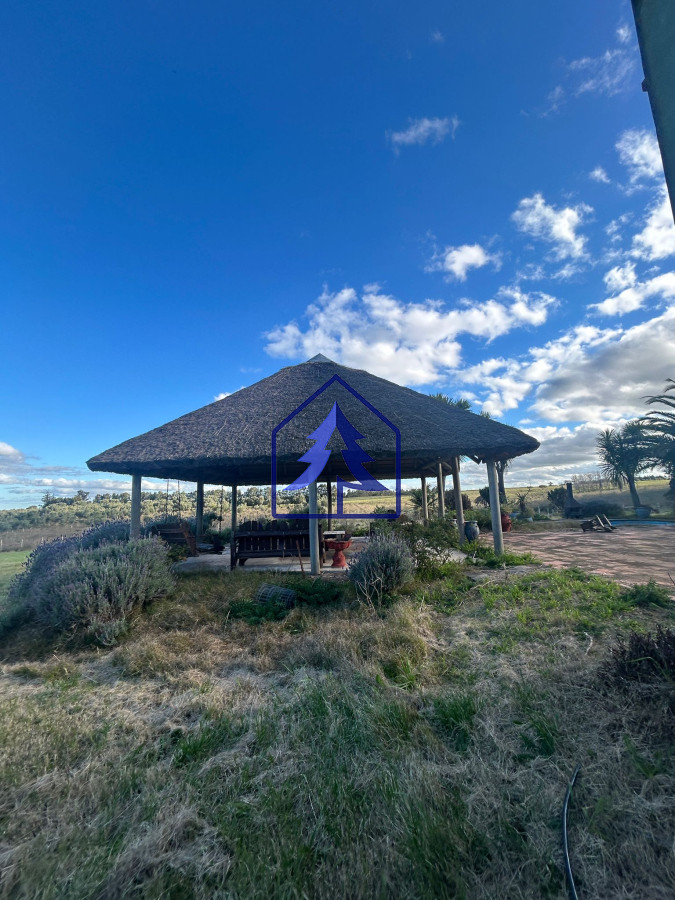 Chacra ID.31 - Venta de chacras en San Jacinto 