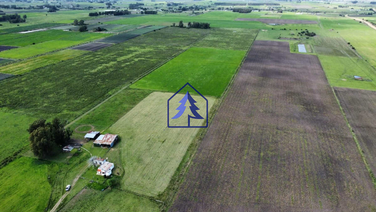 Chacra ID.12 - Chacra a 10 km de la ciudad de Canelones