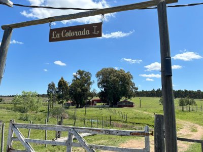 EXCELENTE CHACRA EN SANTA LUCIA DEL ESTE