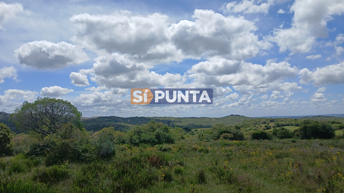 VENTA CHACRA - SPT15441H