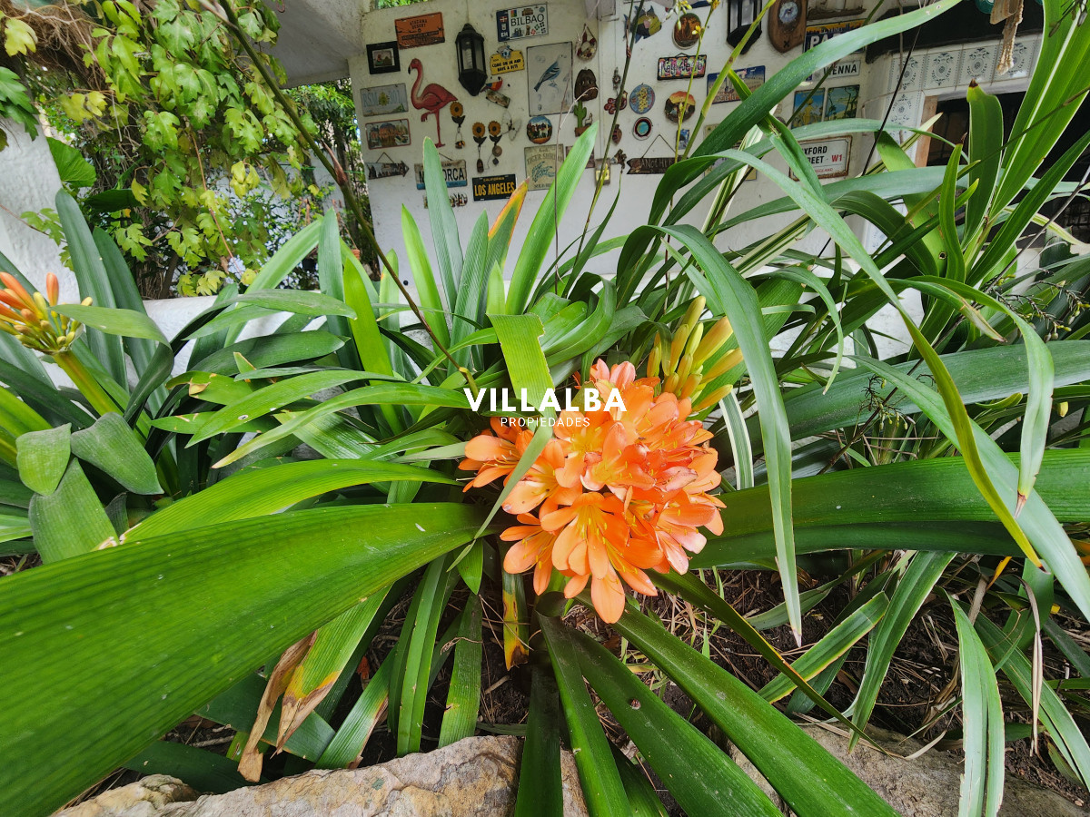 Apartamento ID.3751 - Tu lugar para vivir y soñar 