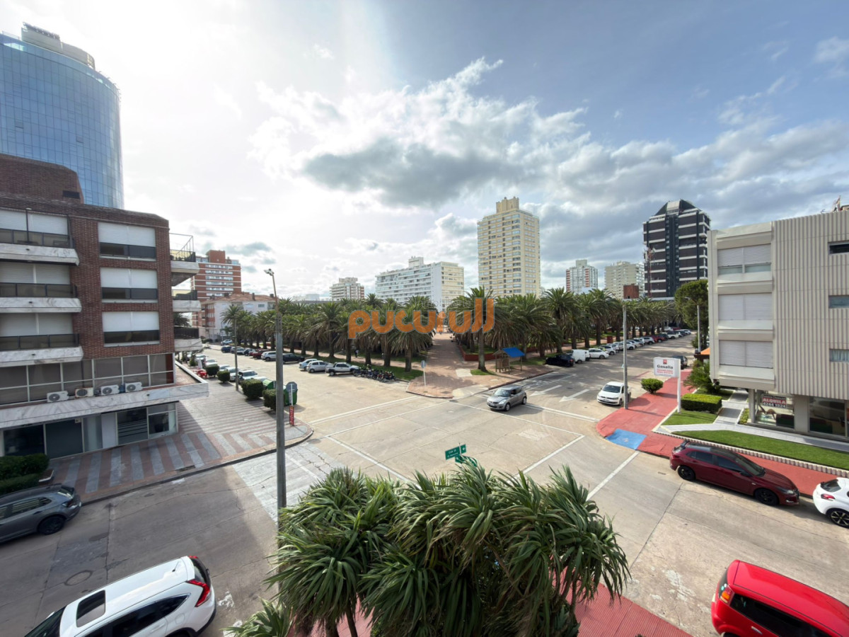 Apartamento ID.2877 - Penisula excelente lugar para vivir 