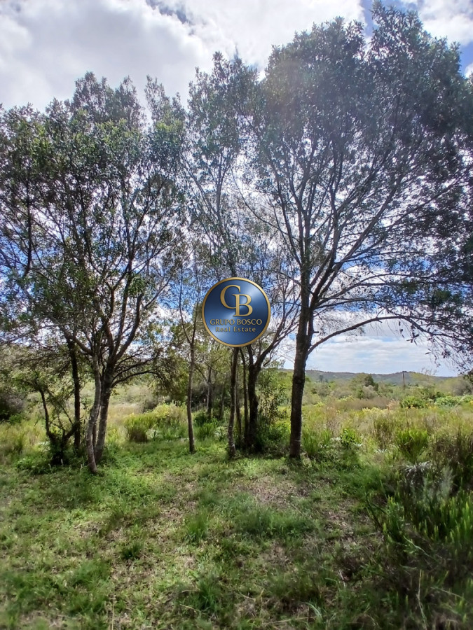 Chacra ID.1527 - VENTA CHACRA