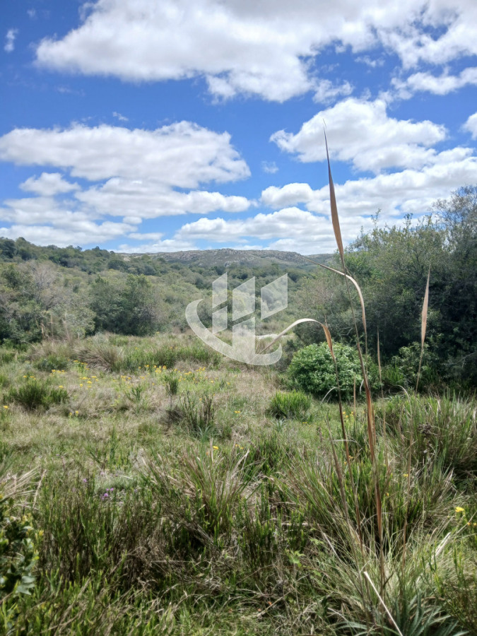 Chacra ID.2929 - VENTA CHACRA
