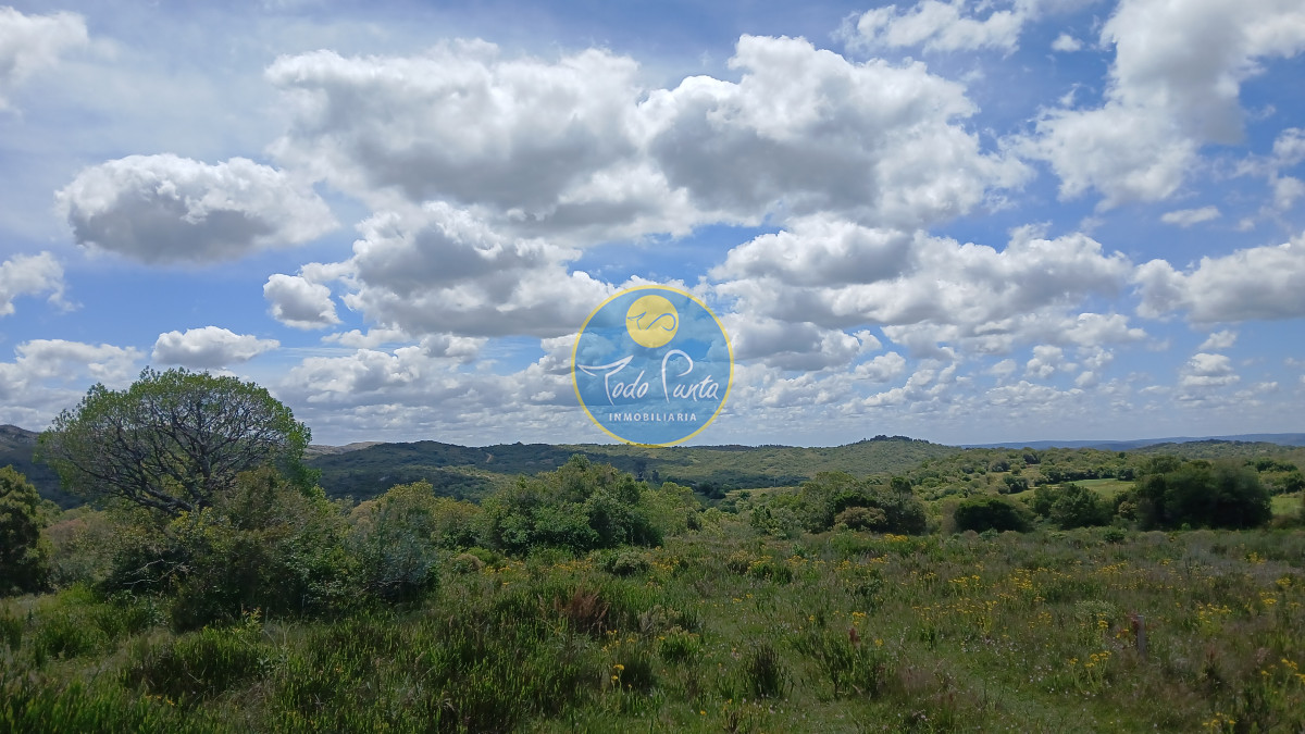 Chacra en Aiguá, Maldonado | Todo Punta