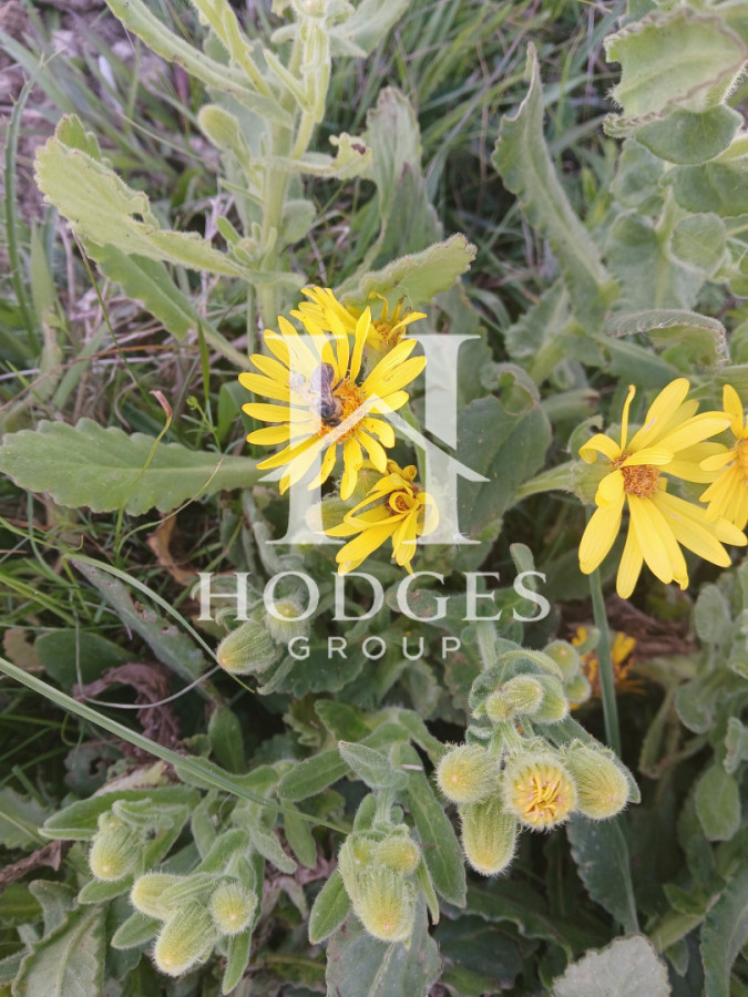 Chacra ID.544 - VENTA CHACRA, 5 hectareas, Cerro Catedral