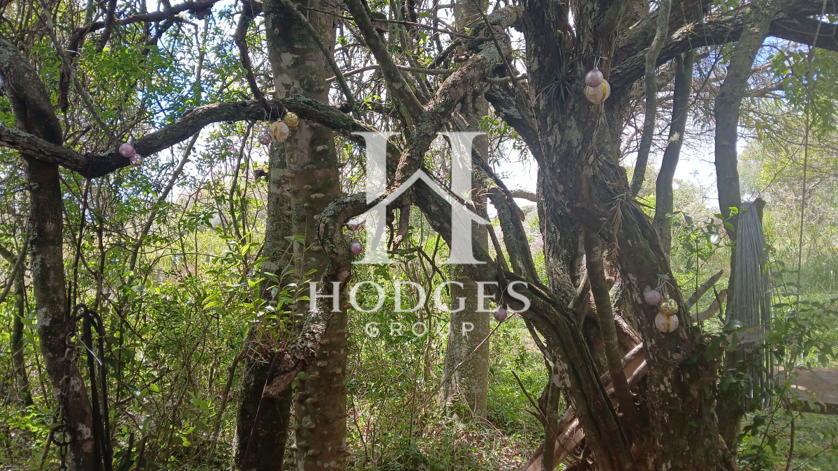 Chacra ID.544 - VENTA CHACRA, 5 hectareas, Cerro Catedral
