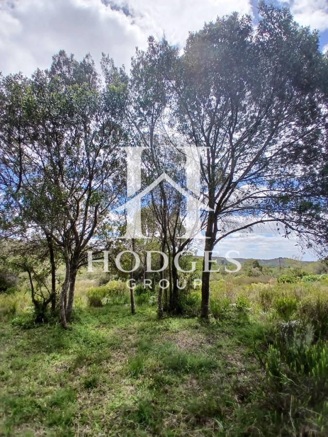 Chacra ID.544 - VENTA CHACRA, 5 hectareas, Cerro Catedral