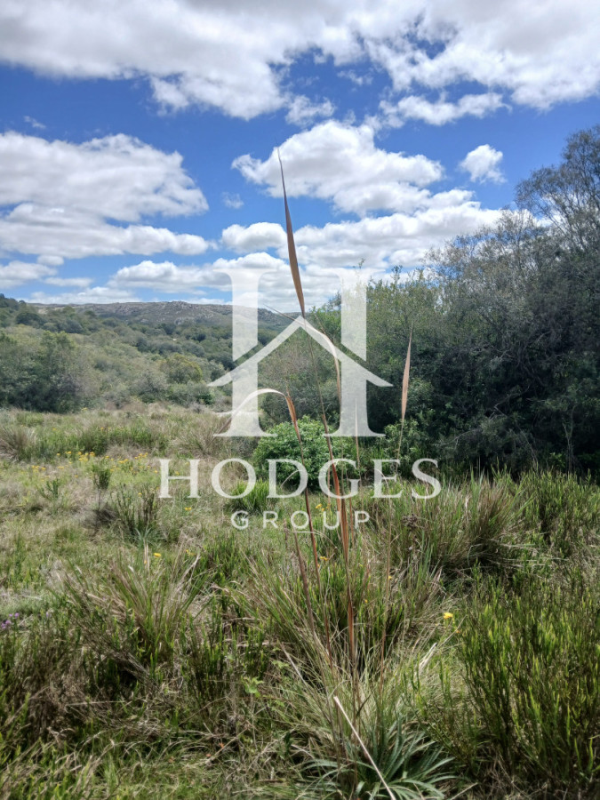 Chacra ID.544 - VENTA CHACRA, 5 hectareas, Cerro Catedral
