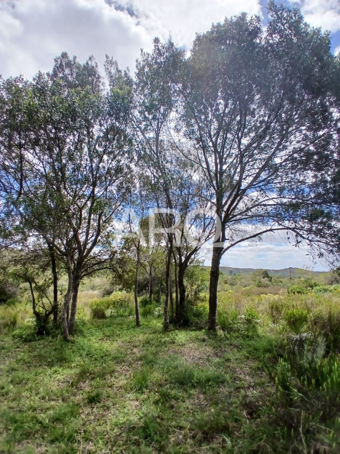 Chacra ID.696 - VENTA CHACRA