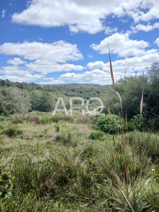 Chacra ID.696 - VENTA CHACRA