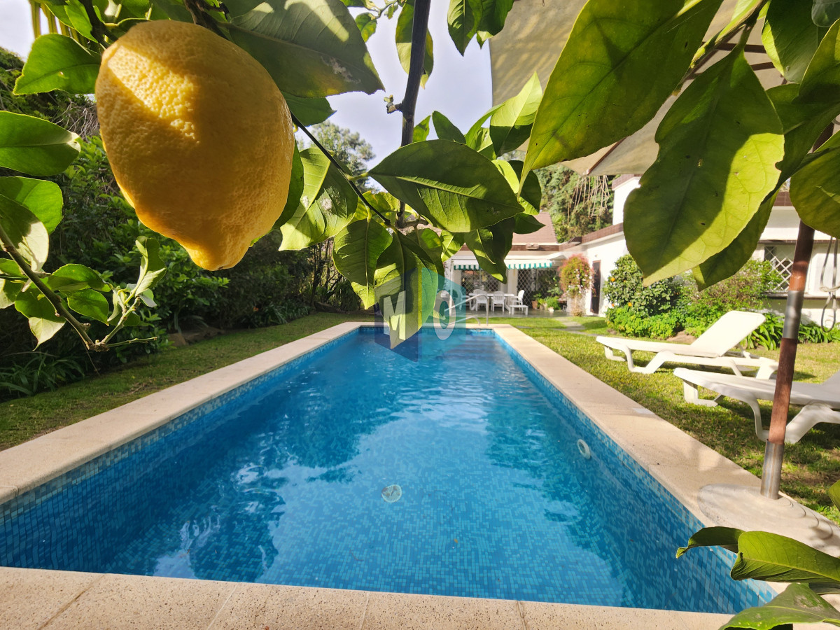 Casa ID.1067 - casa en barrio cantegril, un lugar para vivir y soñar 