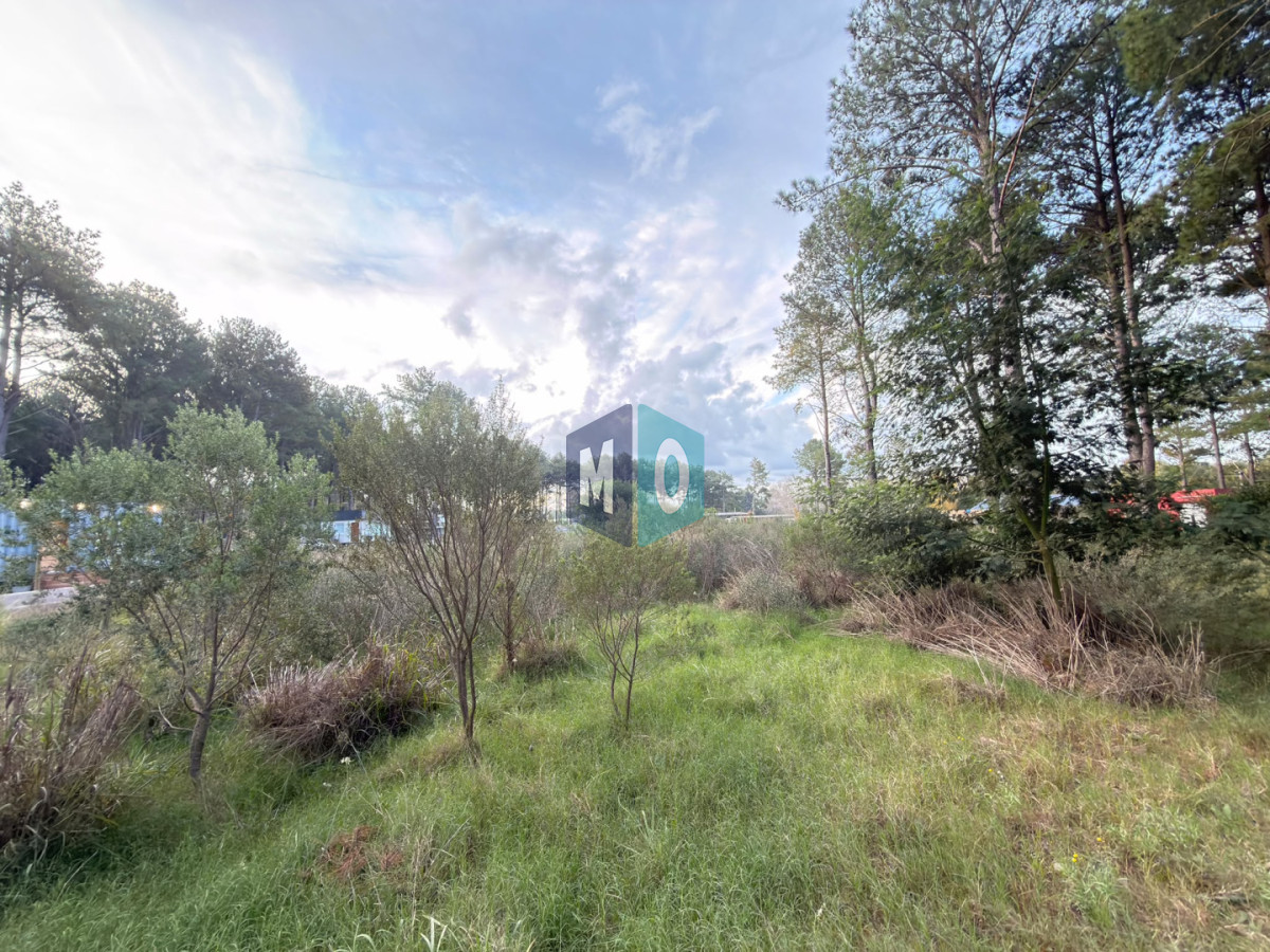 Terreno ID.1208 - Terreno en venta Chacras del pinar Maldonado 