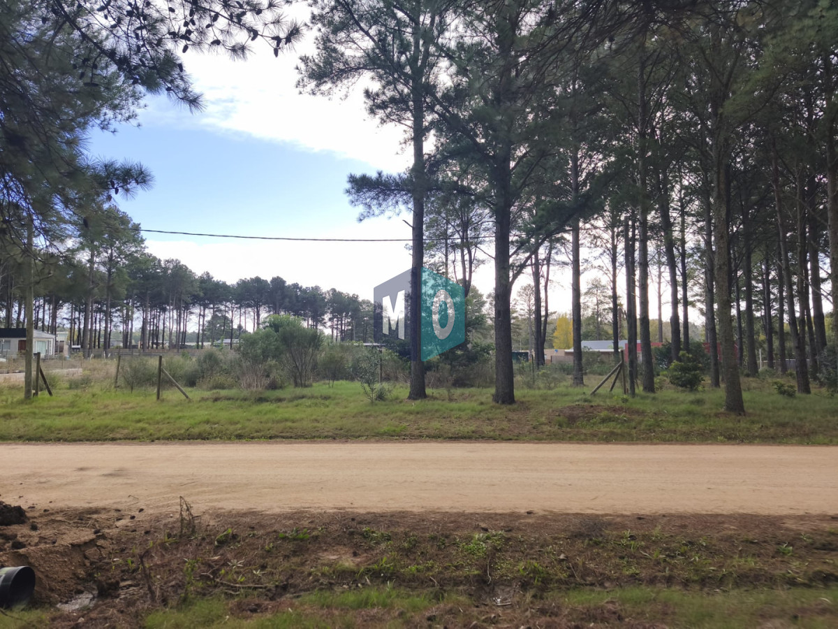 Terreno ID.1208 - Terreno en venta Chacras del pinar Maldonado 