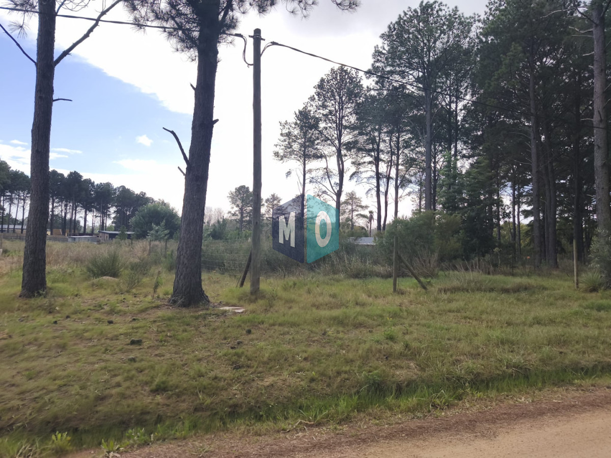 Terreno ID.1208 - Terreno en venta Chacras del pinar Maldonado 