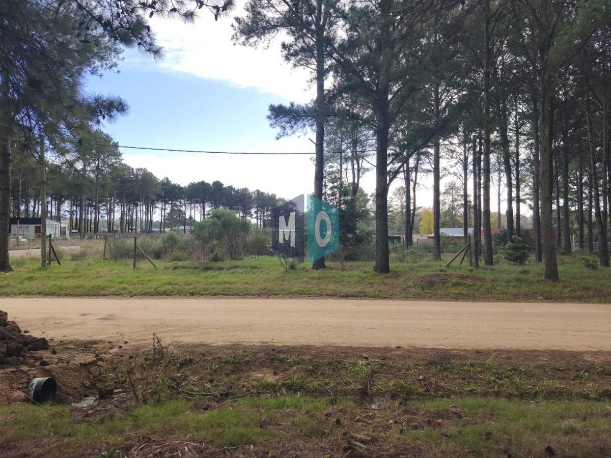 Terreno ID.1208 - Terreno en venta Chacras del pinar Maldonado 