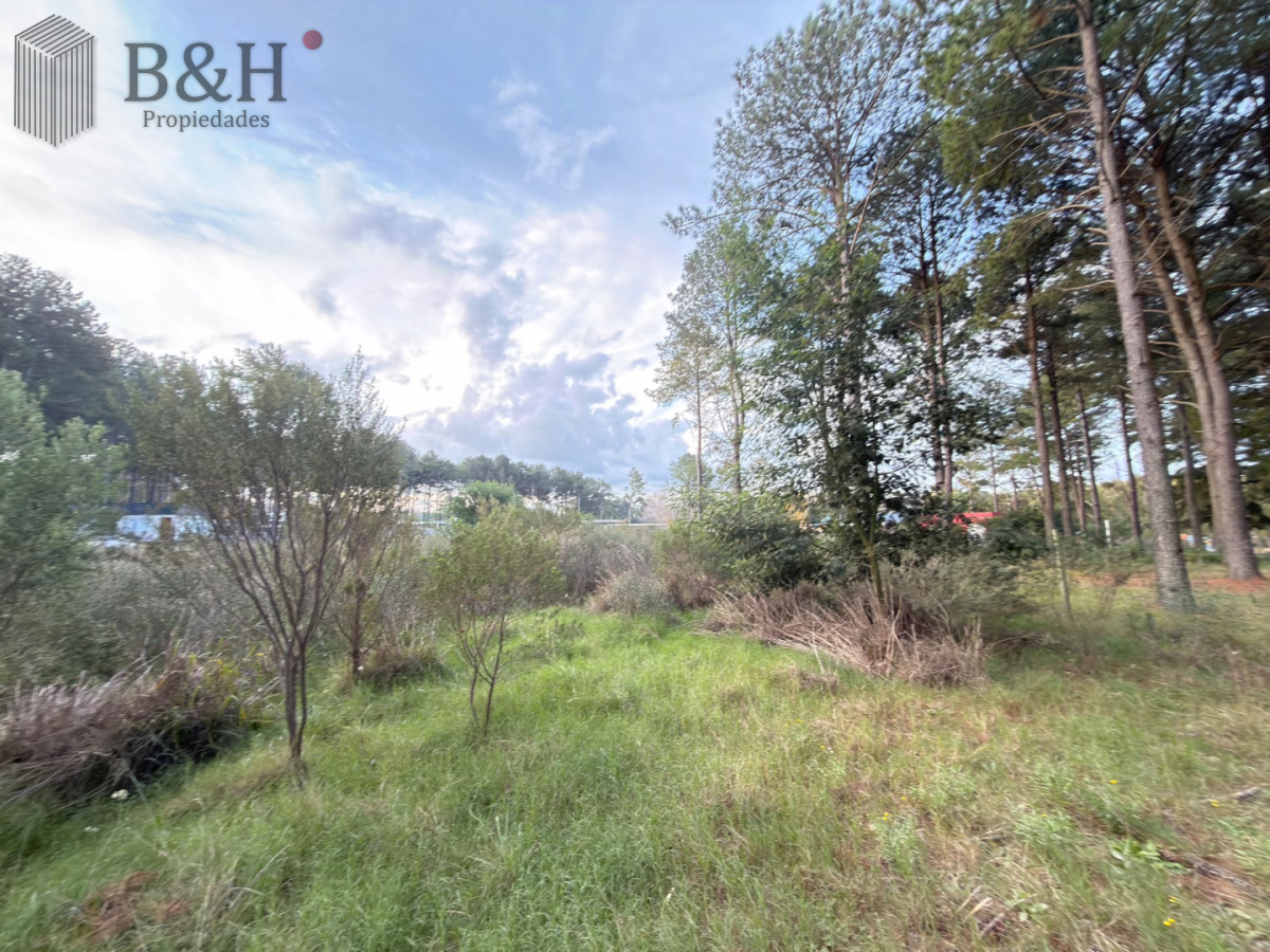 Terreno en venta Chacras del pinar Maldonado  - BYH7769T